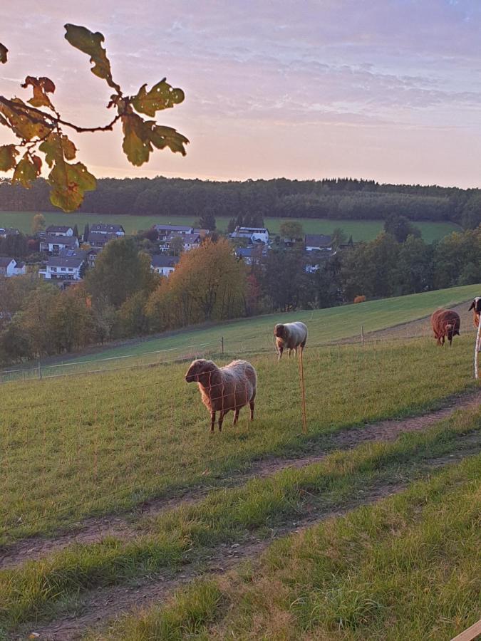Andinas Ferienwohnung In Ruhiger Lage Direkt Am Wald Wilnsdorf Exterior photo